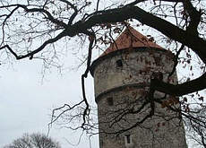 Turm in Tallinn
